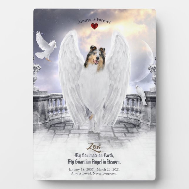Blue Merle Collie Angel in Heaven - Pet Memorial Plaque (Front)