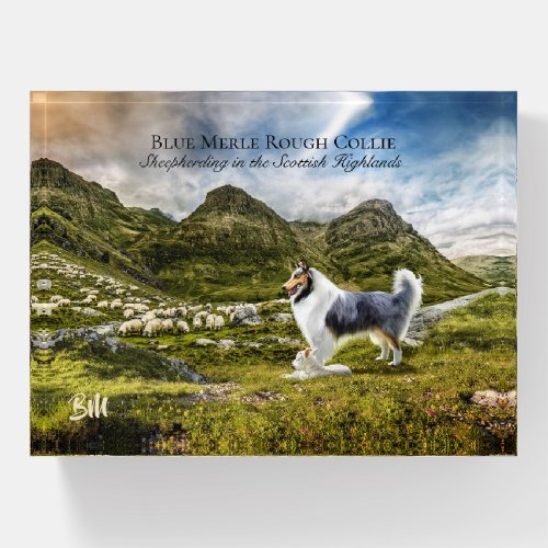 Blue Merle Collie Dog Sheep Herding in Highlands _ Paperweight