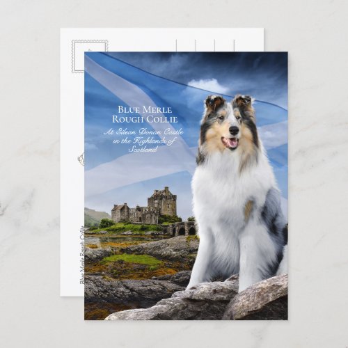 Blue Merle Collie Eilean Donan  Scottish Flag _ Postcard