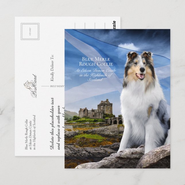 Blue Merle Collie, Eilean Donan & Scottish Flag - Postcard (Front/Back)