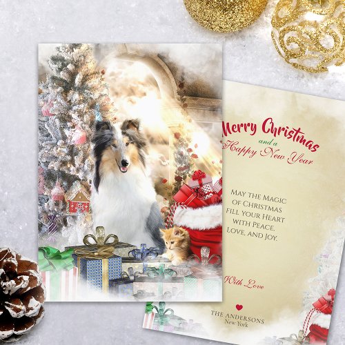Blue Merle Collie  Kitty Merry Christmas _ Card