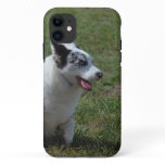 Blue Merle Corgi Dog iPhone 11 Case