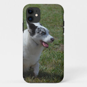 Blue Merle Corgi Dog iPhone 11 Case