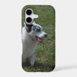 Blue Merle Corgi Dog iPhone 17 Case