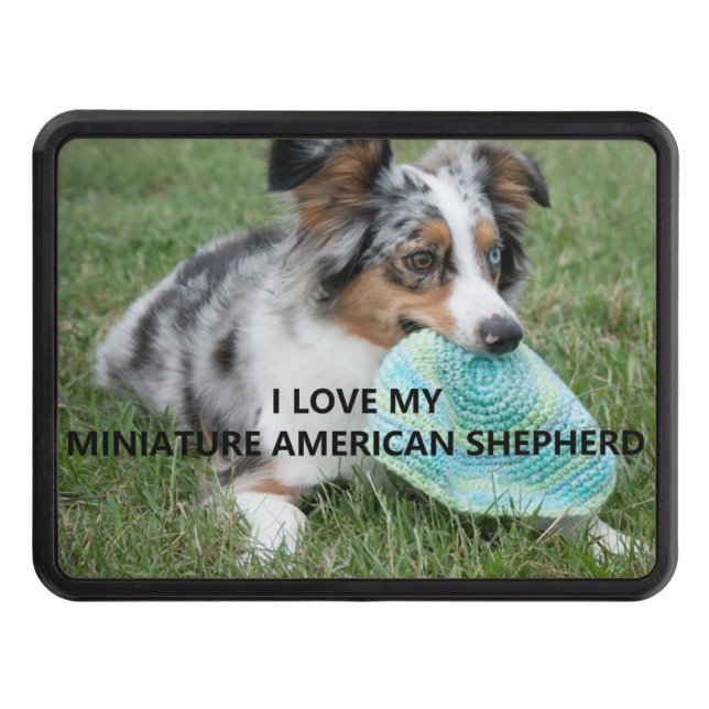 Blue_Merle_Miniature_American_Shepherd love w pict Hitch Cover (Front)