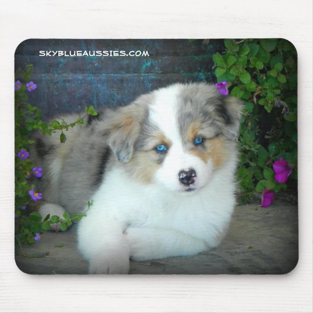 Blue Merle Puppy Mouse Pad (Front)