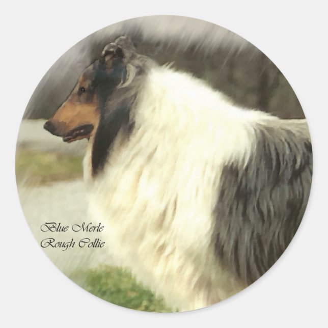 Blue Merle Rough Collie Art Gifts Classic Round Sticker (Front)