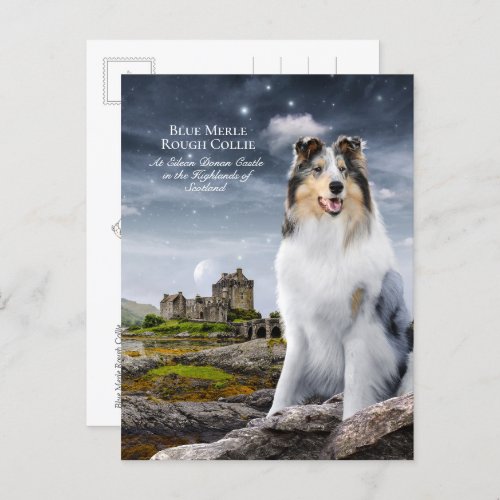 Blue Merle Rough Collie at Eilean Donan Castle _ Postcard