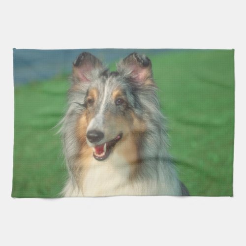 Blue Merle Rough Collie Dog Kitchen Towel