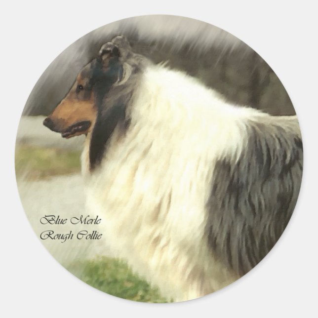 Blue Merle Rough Collie Gifts Classic Round Sticker (Front)