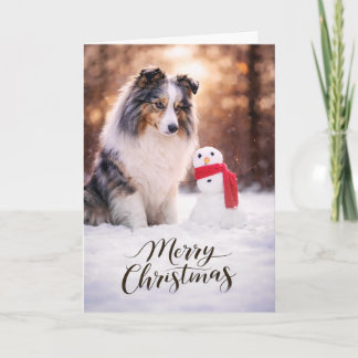 Blue Merle Sheltie Christmas Snowman Holiday Card