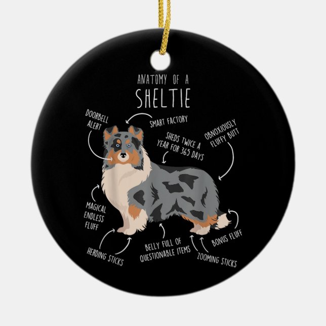 Blue Merle Sheltie Shetland Sheepdog Anatomy, Funn Ceramic Ornament (Front)