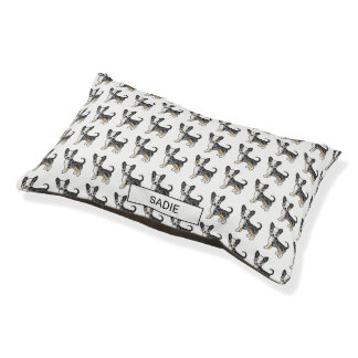 Blue Merle Smooth Coat Chihuahua Pattern &amp; Name Pet Bed