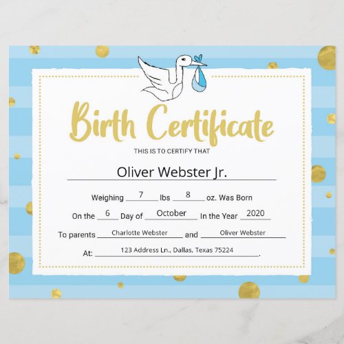 Blue Milestone Certificate Baby Birth Certificate