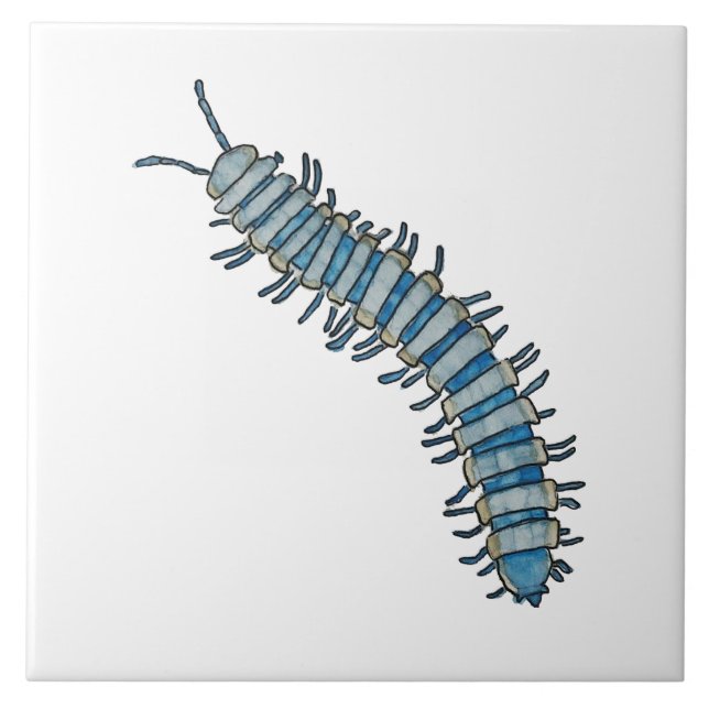 Blue millipede tile  (Front)
