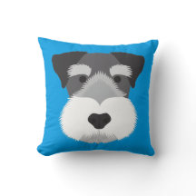 Blue Miniature Schnauzer