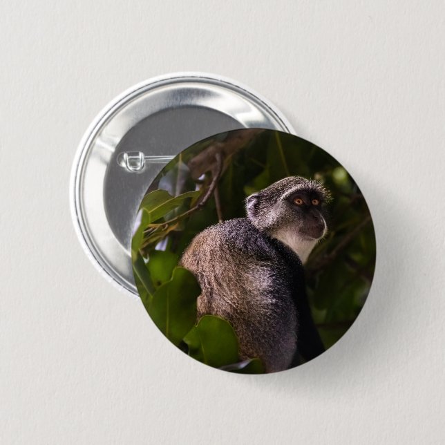 Blue monkey, Zanzibar Button (Front & Back)