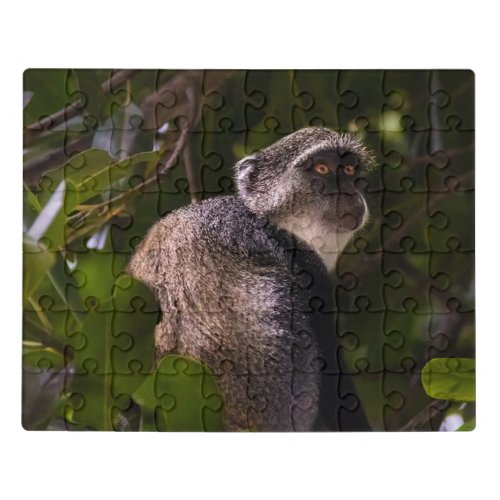 Blue monkey Zanzibar Jigsaw Puzzle