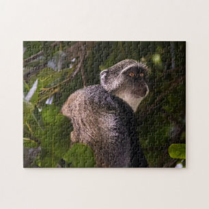 Blue monkey, Zanzibar Jigsaw Puzzle