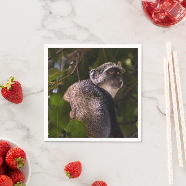 Blue monkey, Zanzibar Napkins (Insitu)