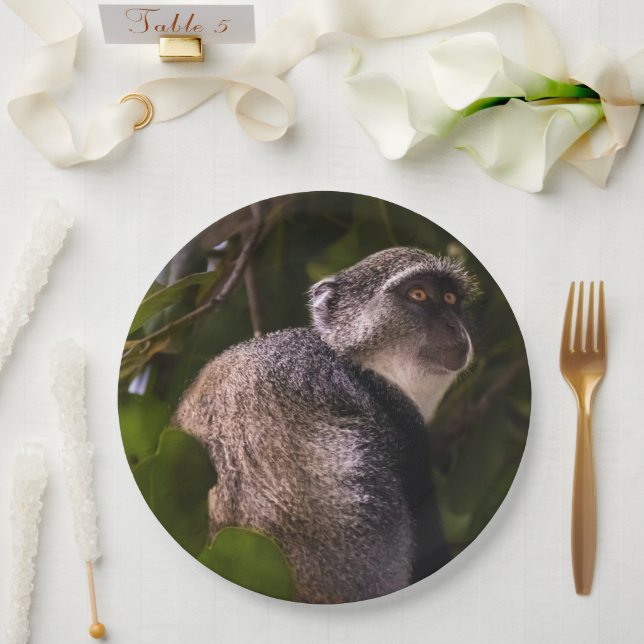 Blue monkey, Zanzibar Paper Plates (Wedding)