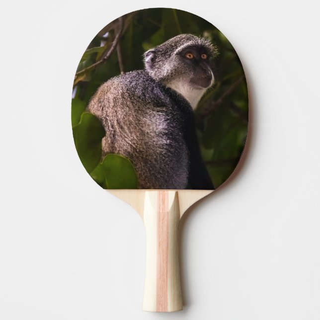 Blue monkey, Zanzibar Ping Pong Paddle (Front)