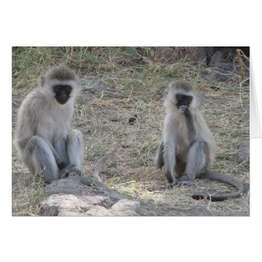 Blue Monkeys Cards (Front Horizontal)