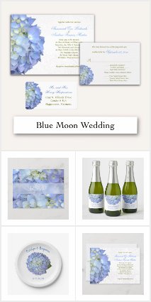 Blue Moon Hydrangea Wedding and Events
