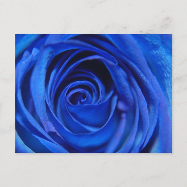 Blue Moon Postcard (Front)