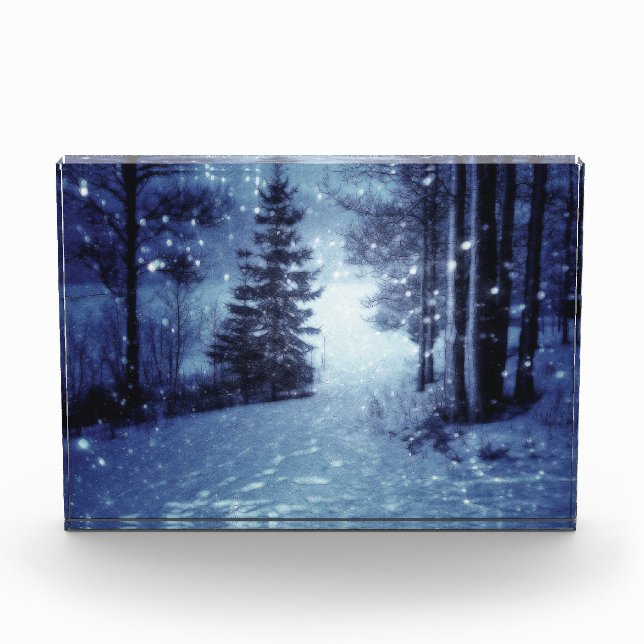 Blue Moonlit Magical Forest Winter Scene Photo Block (Front)
