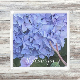 Blue Mophead Hydrangea Bloom Floral Acrylic Tray