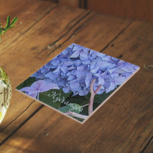 Blue Mophead Hydrangea Bloom Floral Ceramic Tile
