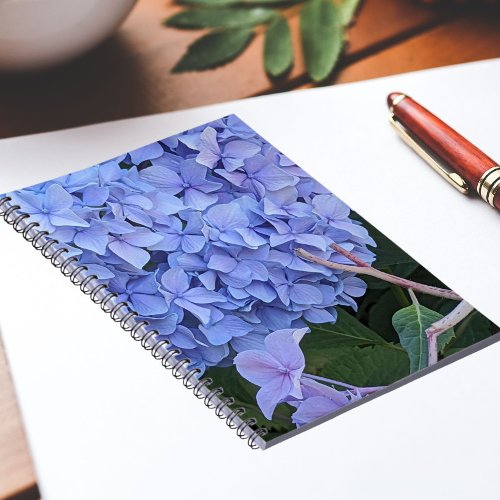 Blue Mophead Hydrangea Bloom Floral Notebook