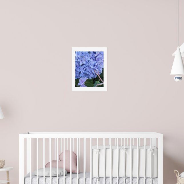 Blue Mophead Hydrangea Bloom Floral Poster (Nursery 2)