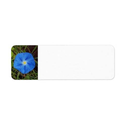 Blue Morning Glory Flower Label