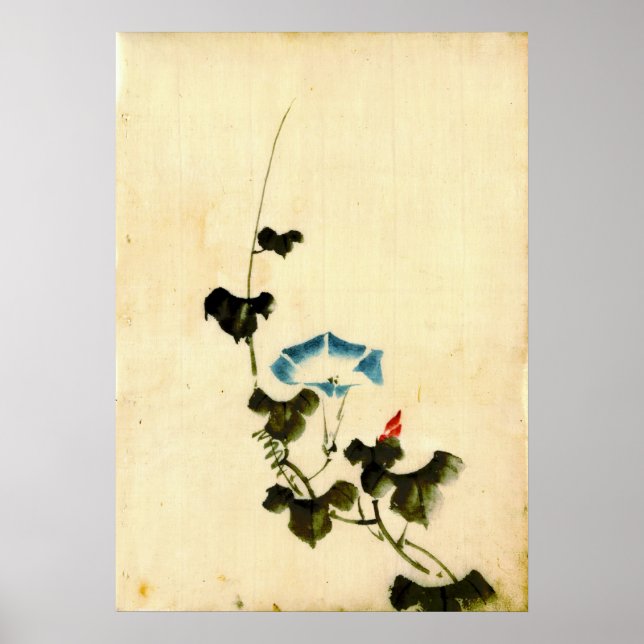 Blue Morning Glory Vine 1840 Poster (Front)