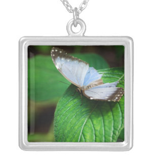 Blue Morpho 112 Necklace