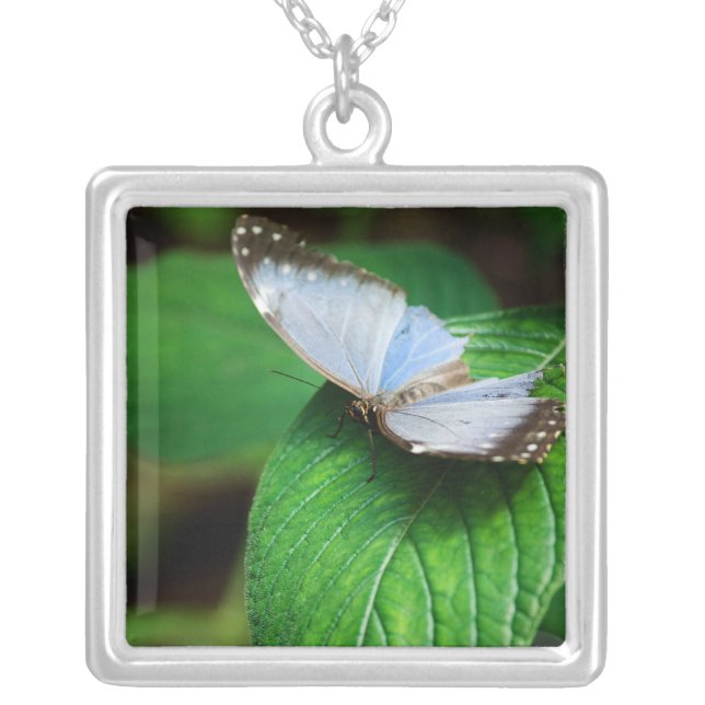 Blue Morpho 112 Necklace (Front)