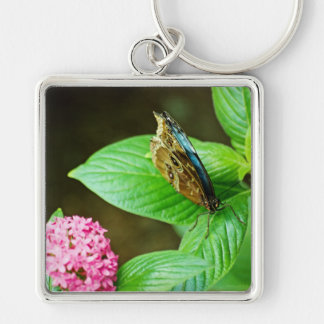 Blue Morpho 143 Keychain