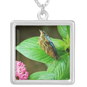 Blue Morpho 143 Necklace