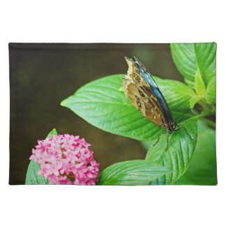Blue Morpho 143 Placemats