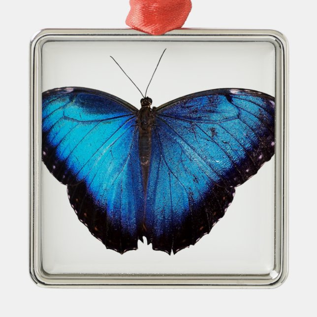 Blue Morpho Butterflie Metal Ornament (Front)