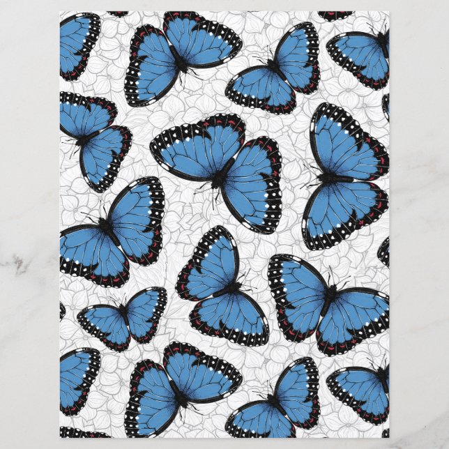 Blue morpho butterflies (Front)