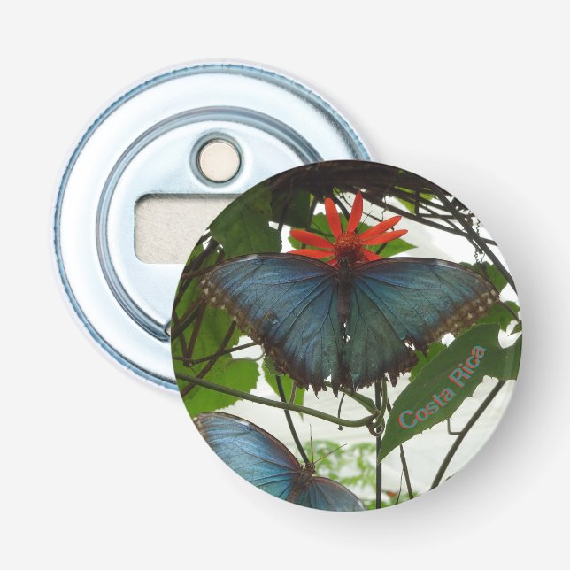 Blue Morpho Butterflies Cust. Bottle Opener (Front)