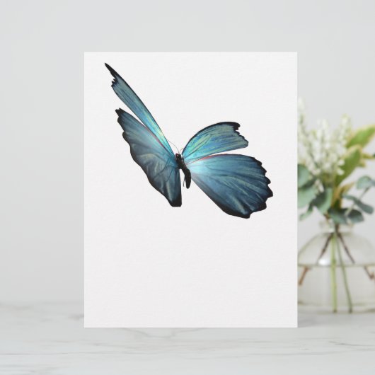 Blue Morpho Butterfly (Standing Front)