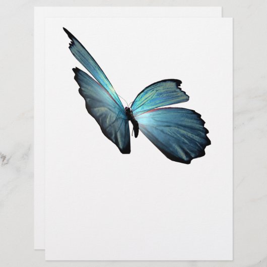 Blue Morpho Butterfly (Front/Back)