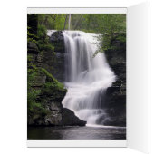 Blue Morpho Butterfly 1865 Spring Personalize Art (Inside (Left))