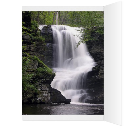 Blue Morpho Butterfly 1865 Spring Personalize Art (Inside (Left))