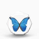Blue Morpho Butterfly Acrylic Award<br><div class="desc">Show your love of butterflies and the Blue Morpho's iridescent wings.</div>