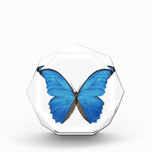Blue Morpho Butterfly Acrylic Award
